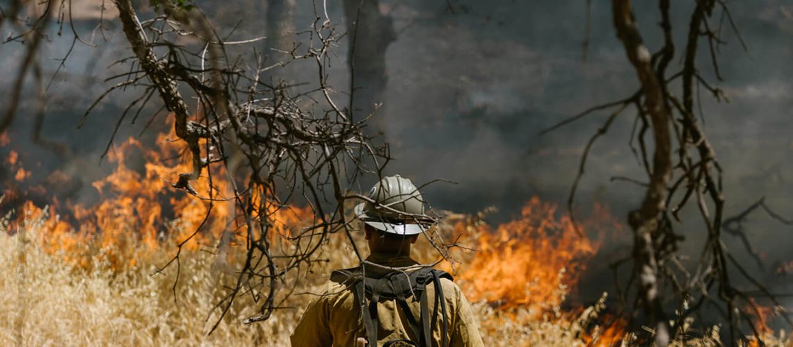 in-the-line-of-fire